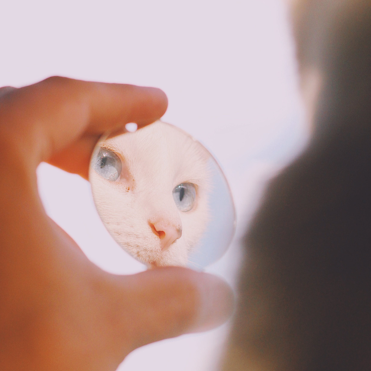 Pourquoi regarder sa vulve régulièrement ?