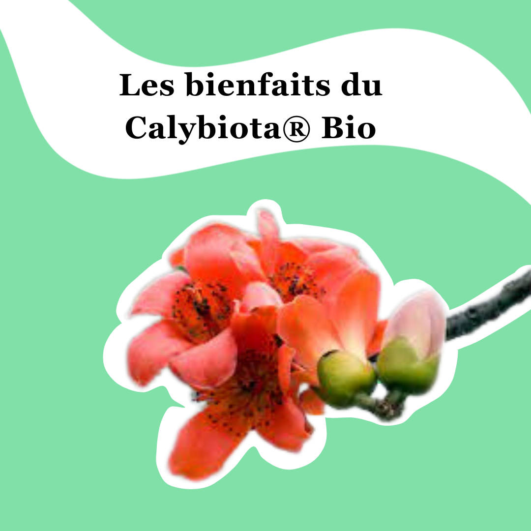 Le Calybiota® Bio est le nouvel actif révolutionnaire qui régule la flore intime