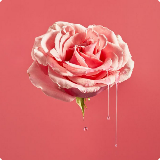 7 mythes sur la lubrification